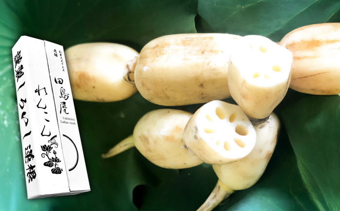 プロのシェフも認める！田島屋のれんこん