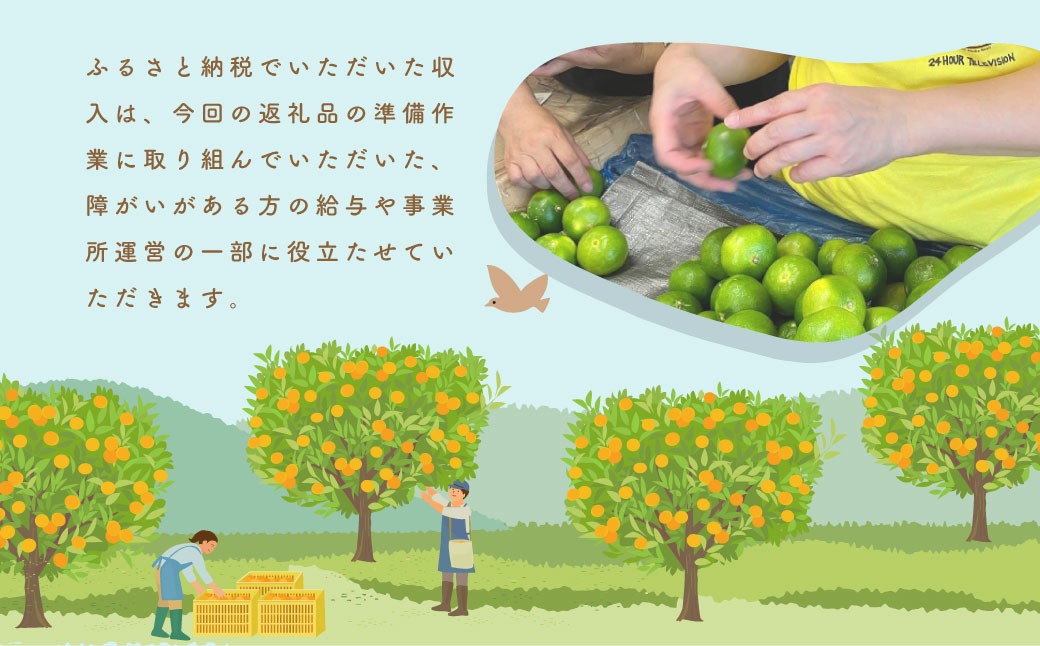 不知火（デコポンと同品種）【手選別まごころ選果】約5kg