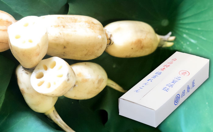 プロのシェフも認める！田島屋のれんこんを年末にお届け！