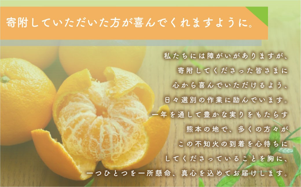 不知火（デコポンと同品種）【手選別まごころ選果】約5kg