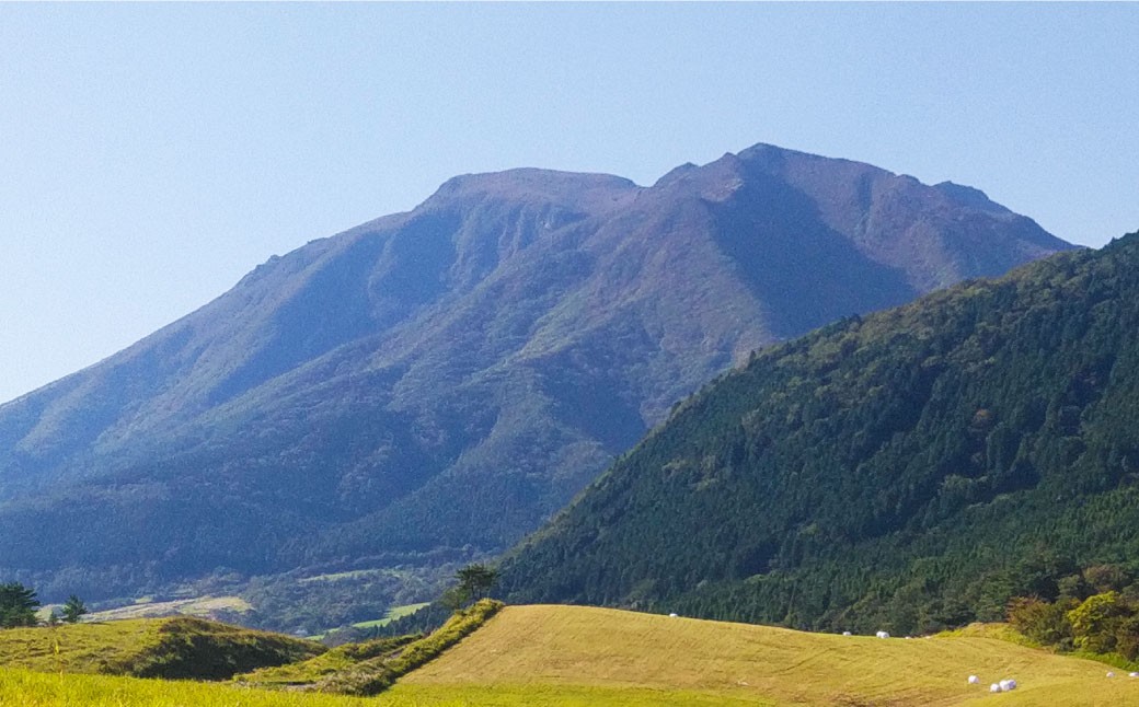 竹田銘水美人色選米（普通慣行米）
