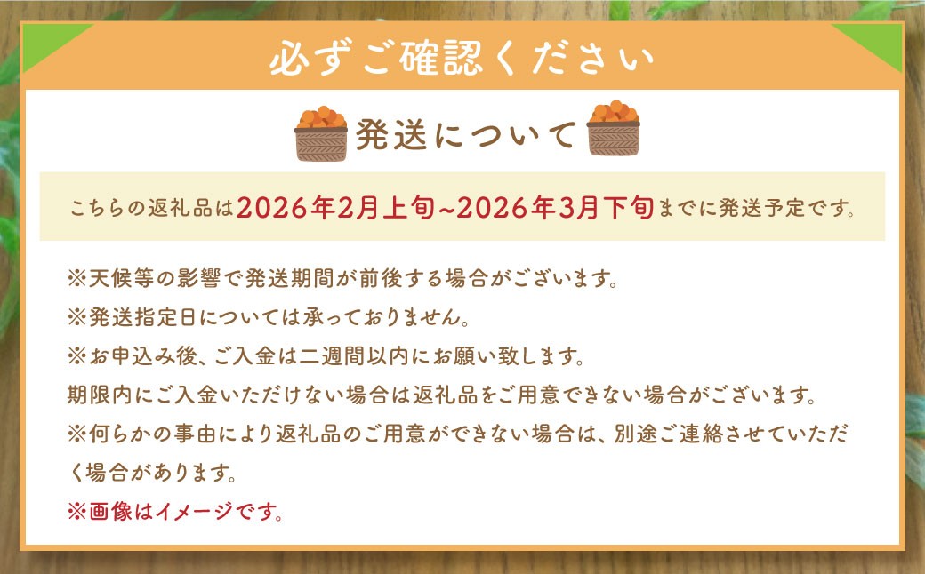 不知火（デコポンと同品種）【手選別まごころ選果】約5kg