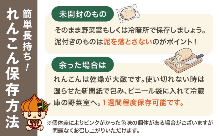 プロのシェフも認める！田島屋のれんこん