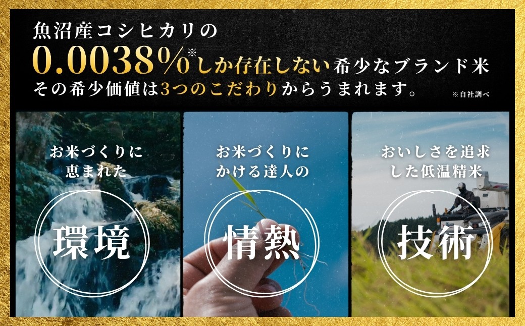 世界の一流シェフが認めた希少なお米、雪椿
