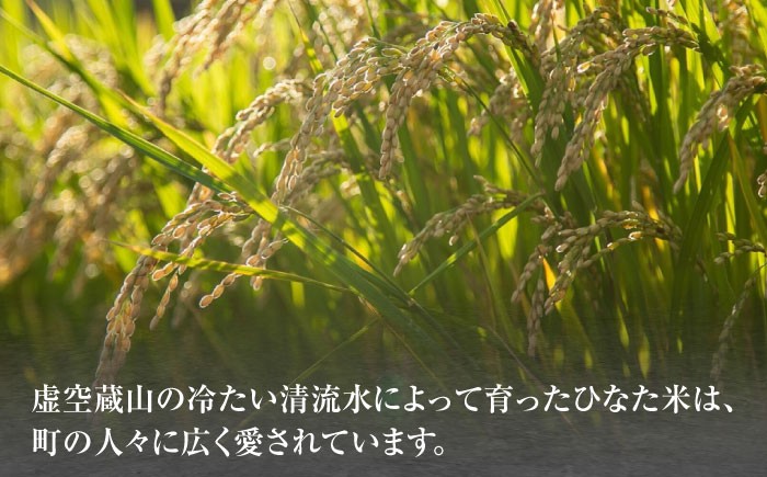 米 棚田米 令和7年産
