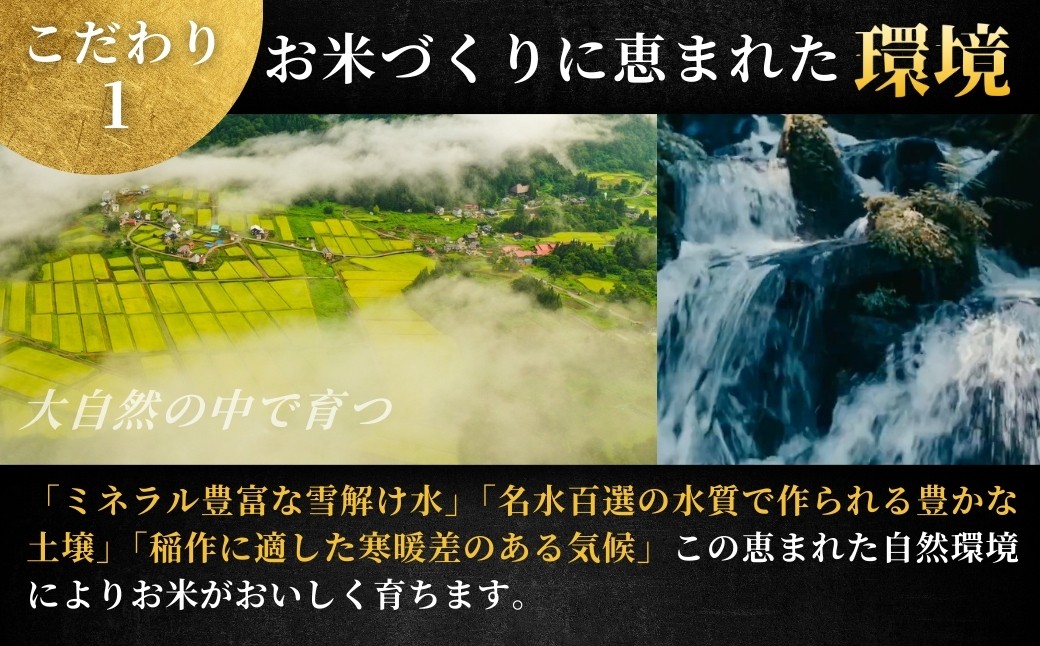 世界の一流シェフが認めた希少なお米、雪椿