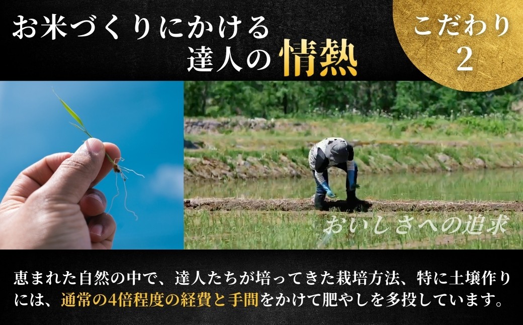 世界の一流シェフが認めた希少なお米、雪椿