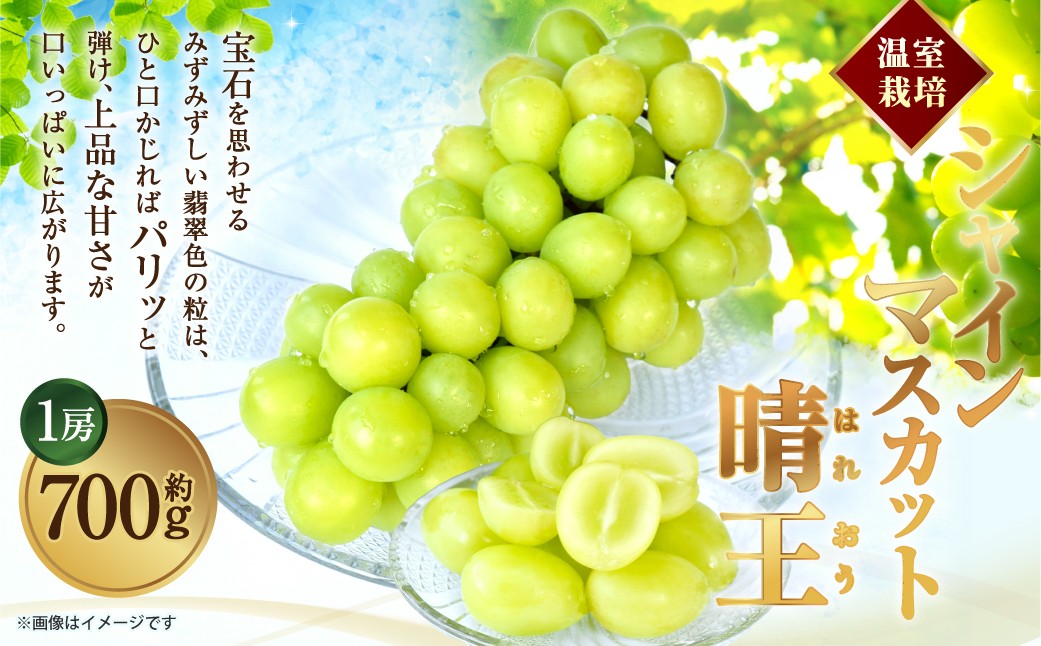 温室 シャインマスカット 晴王 1房 約700g