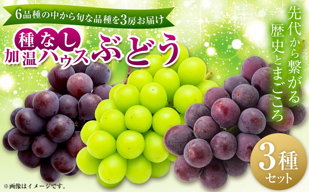 加温ハウスぶどうの3種セット