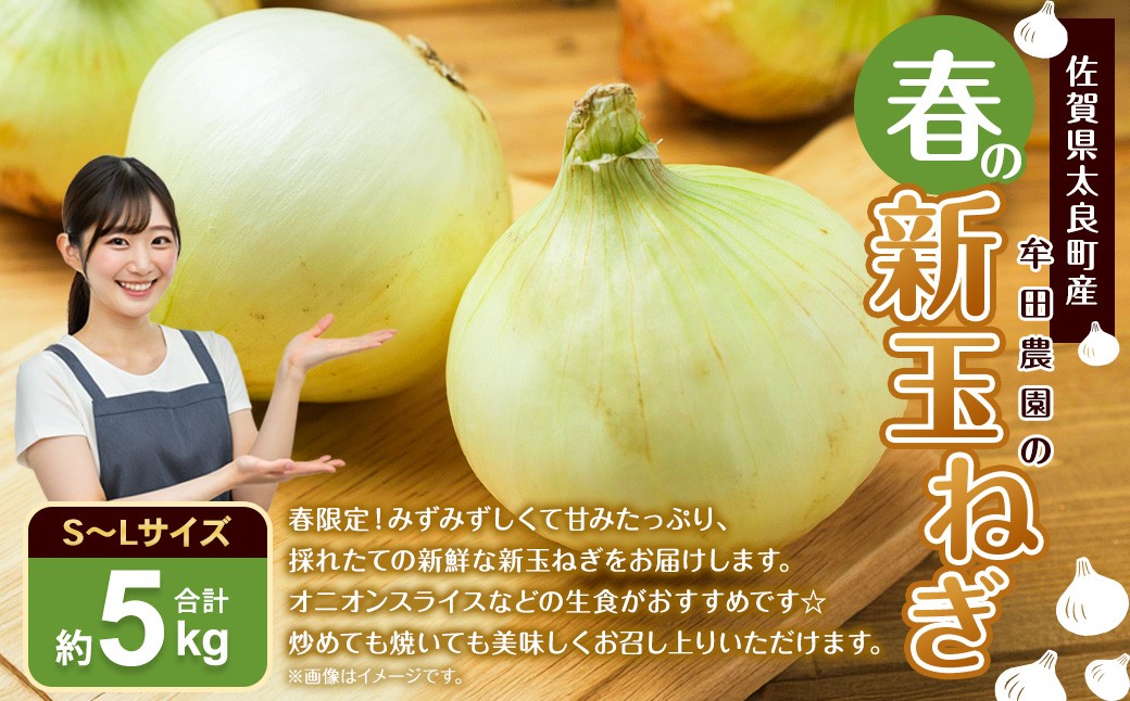 牟田農園の春の新玉ねぎ 5kg （S～L） 
