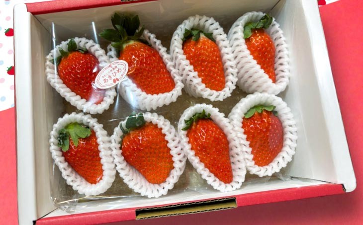 しあわせ島いちごデラックスハーフ(DXh)