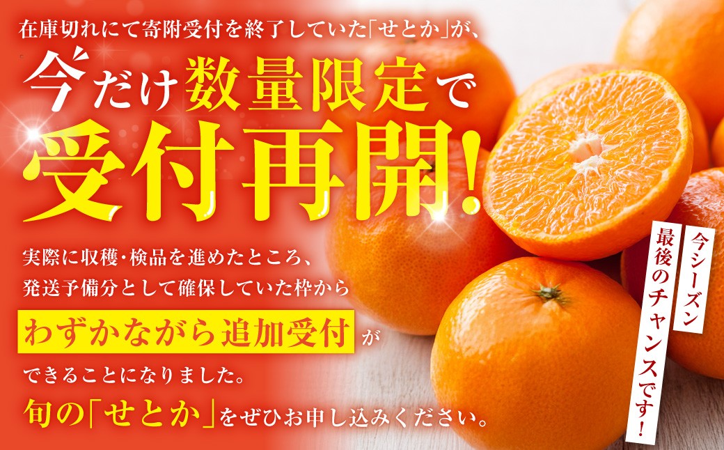ハウスせとか 3kg 8～15玉 化粧箱セット