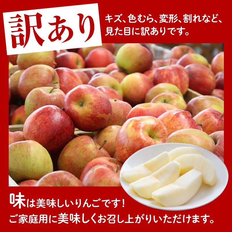 写真はイメージです
