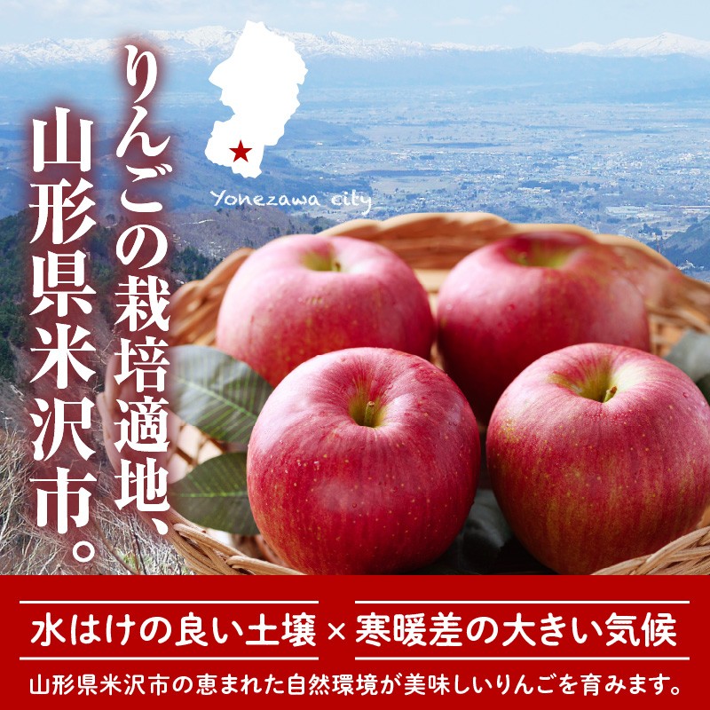 写真はイメージです