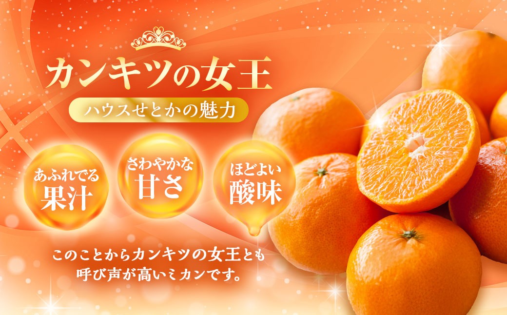 ハウスせとか 3kg 8～15玉 化粧箱セット