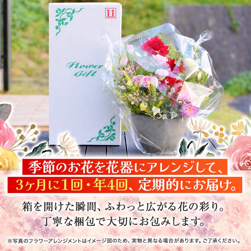 写真の梱包でお届けいたします。