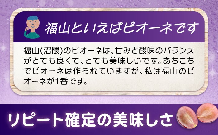 食べやすい種無しピオーネ 果物 ぶどう ブドウ 葡萄 ピオーネ 大粒 2kg 