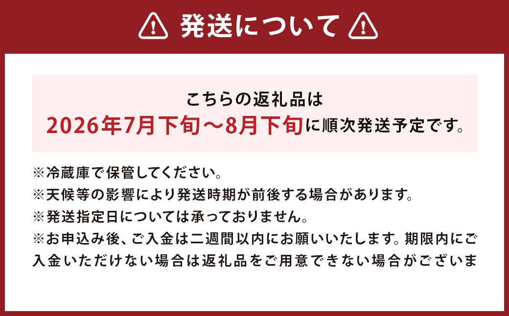 【訳あり】ミニトマト『アイコ』約2kg