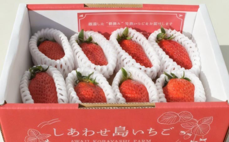 しあわせ島いちごデラックスハーフ(DXh)