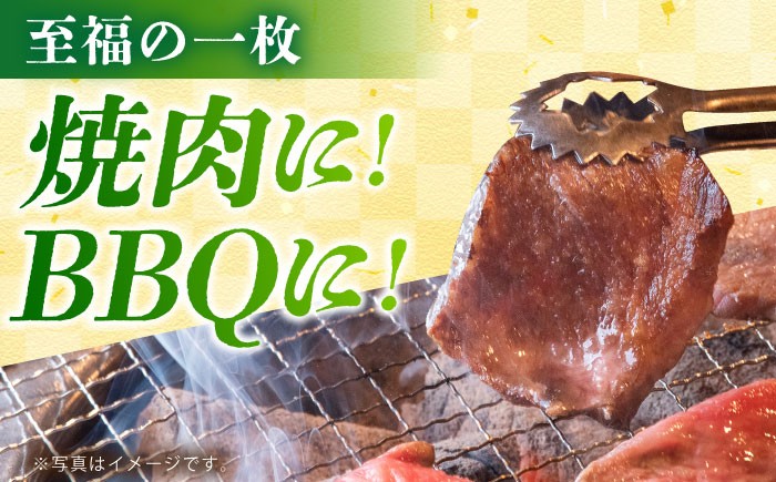 【全3回定期便】佐賀牛 焼肉セット（モモカタ赤身/肩ロース） 【吉祥】 [HCW009]