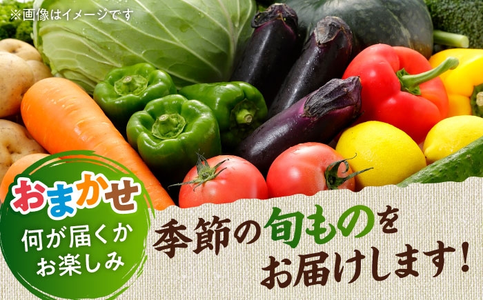 旬の野菜 おまかせ 詰め合わせ セット 8〜10品目