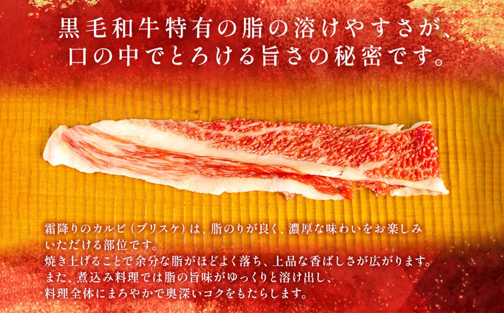 【和牛セレブ】神戸牛焼肉（焼きすき）ブリスケスライス 約1.2kg