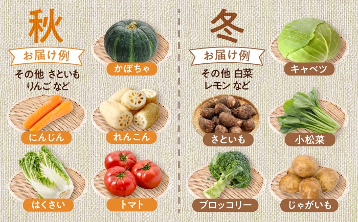 旬の野菜 おまかせ 詰め合わせ セット 8〜10品目