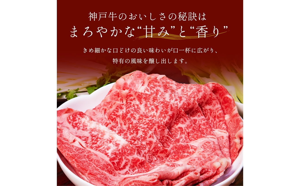 【和牛セレブ】神戸牛 すき焼き&しゃぶしゃぶセット（肩ロース）約750g