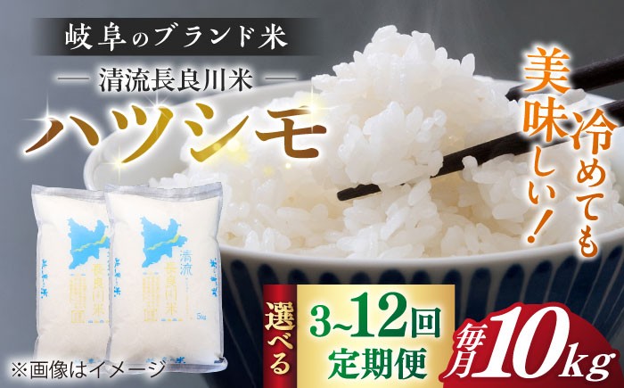 ハツシモ はしつも お米 米 こめ 白米 10kg 10キロ 定期便 米定期便