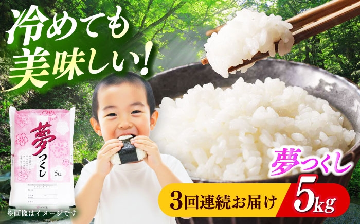お米 ブランド米 ご飯 ごはん 米 お米 おこめ 弁当 お弁当 お米 白米 県産米 国産米 精米 新生活 お祝い ギフト 仕送り