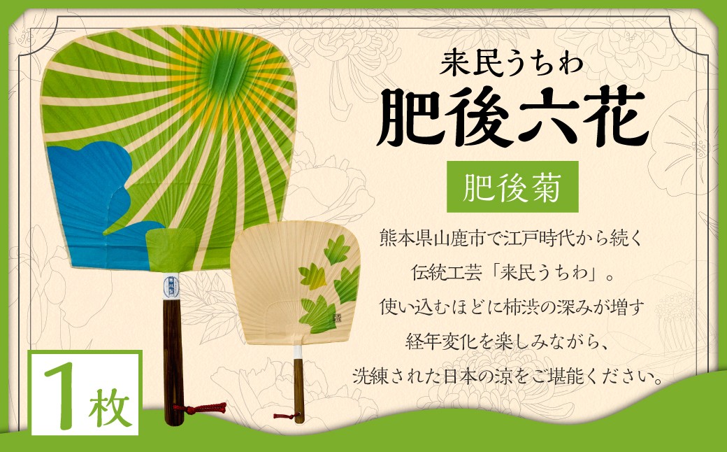 肥後六花 肥後菊