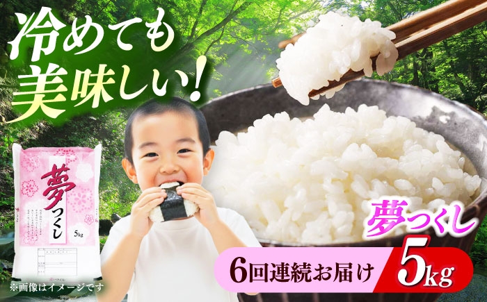 お米 ブランド米 ご飯 ごはん 米 お米 おこめ 弁当 お弁当 お米 白米 県産米 国産米 精米 新生活 お祝い ギフト 仕送り