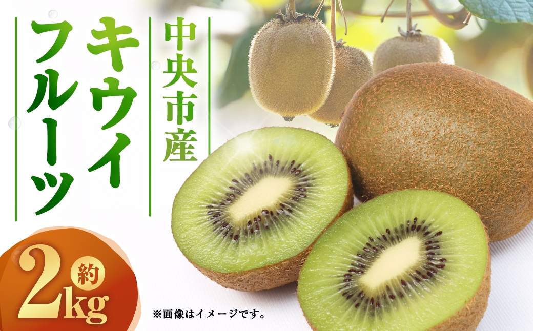 中央市産 ヘイワード キウイ 約2kg