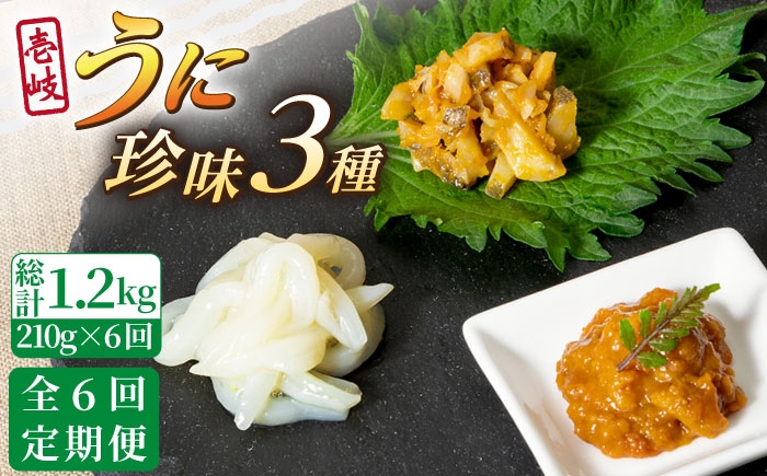 人気   うに ウニ 雲丹  新鮮 海鮮 特産品 贈り物 ギフト   魚介