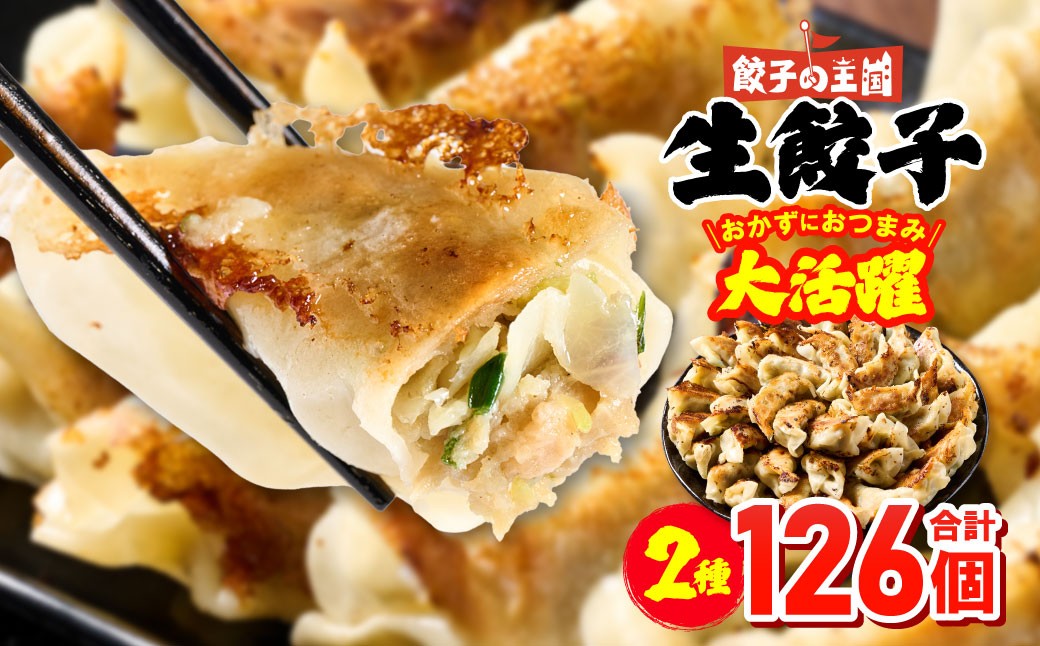 八代市東陽町の生姜を使った 餃子の王国 人気生餃子126個 ぎょうざ ギョウザ