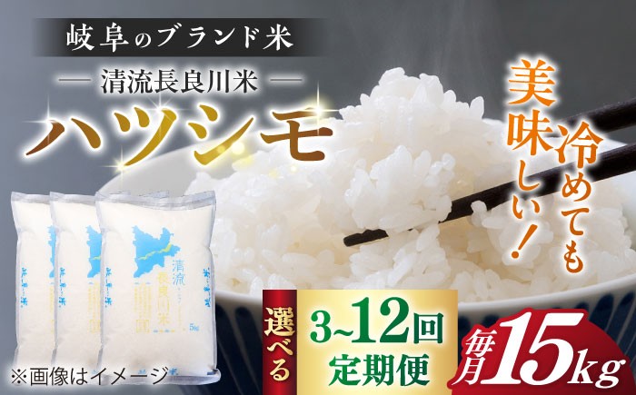 ハツシモ はしつも お米 米 こめ 白米 15kg 15キロ 定期便 米定期便