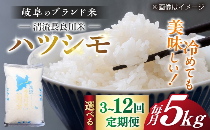 ハツシモ はしつも お米 米 こめ 白米 5kg 5キロ 定期便 米定期便