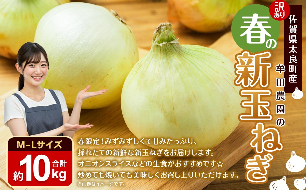 【訳あり】牟田農園の春の新玉ねぎ10kg （M～L）