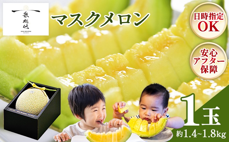 ※写真はイメージです