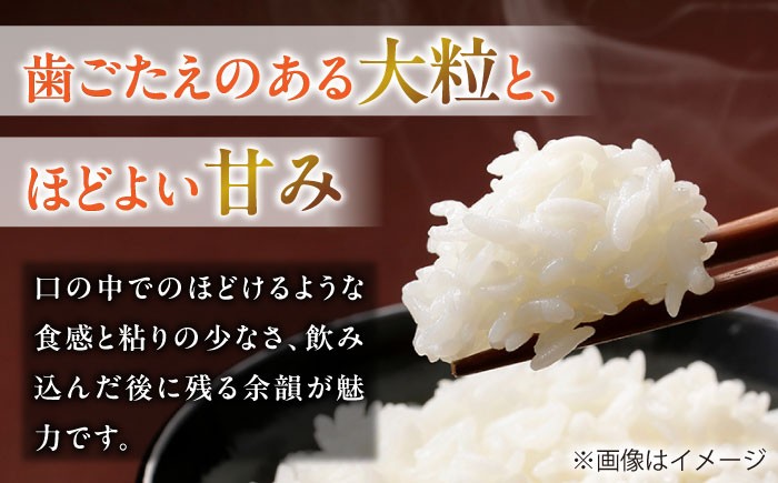 ハツシモ はしつも お米 米 こめ 白米 15kg 15キロ 定期便 米定期便