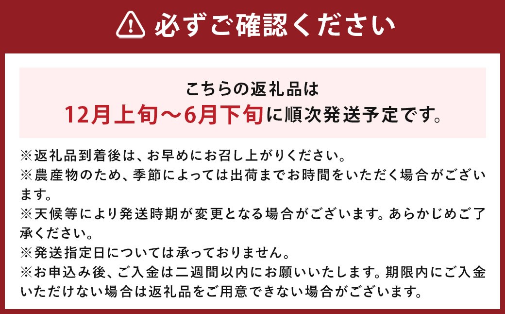 ミディトマト はなひめ
