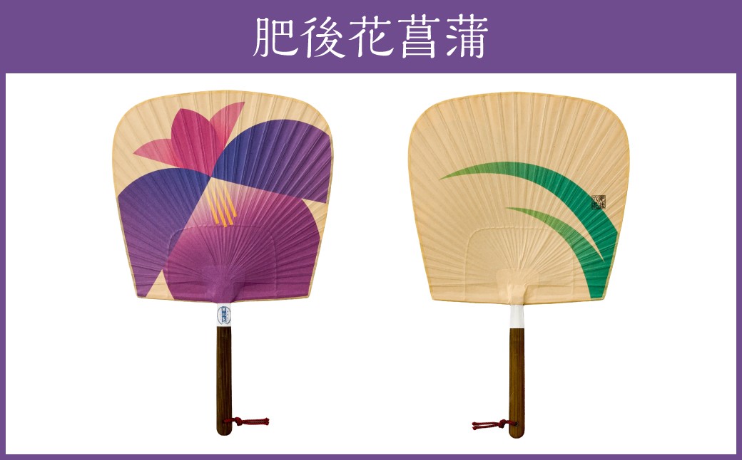 来民うちわ 肥後六花 肥後花菖蒲