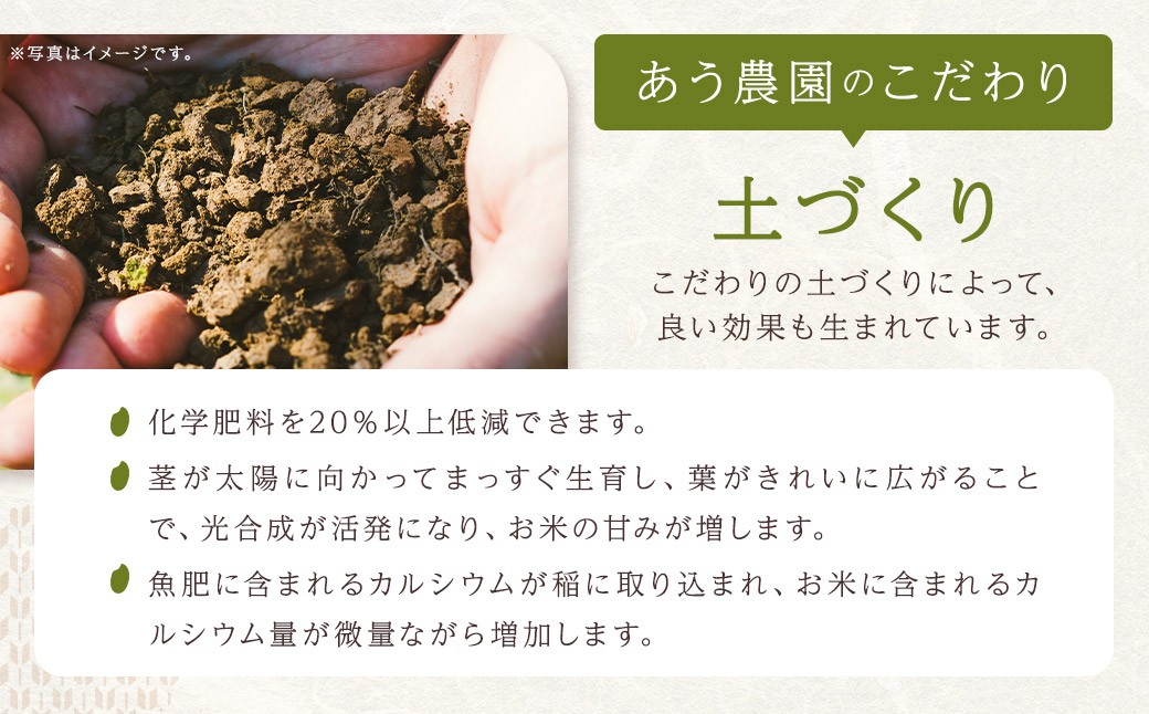 【令和6年産】 ひめの凜プレミアム＆自然環境米 鬼北のせせらぎ（コシヒカリ）【えひめの町（超）推し！（鬼北町）】（392-1）
