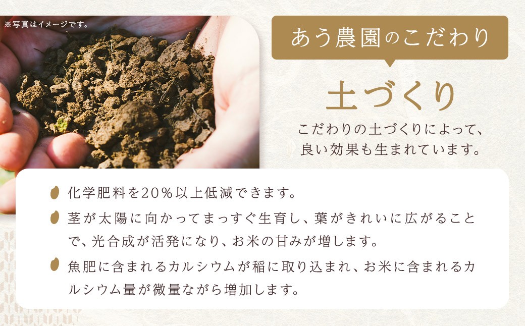 【令和6年産】 自然環境米 鬼北のせせらぎ（コシヒカリ） 5kg 米 お米 【えひめの町（超）推し！（鬼北町）】（391-1）