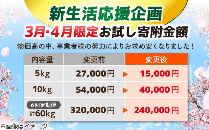 きぬむすめ 米 お米 白米 精米 定期便 ごはん 産地直送 島根 松江 おすすめ