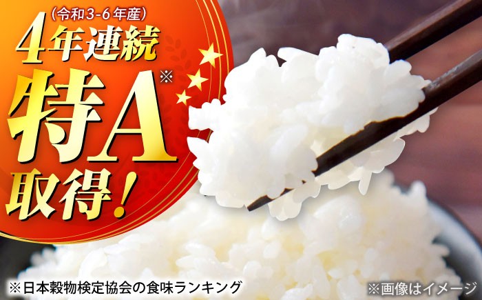 きぬむすめ 米 お米 白米 精米 ご飯 ごはん 産地直送 島根 松江 おすすめ 人気 令和7年産 特A 5kg 5キロ おいしい