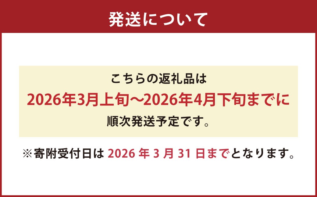 にしだ果樹園の熊本県産月読み ブラッドオレンジ 約2kg