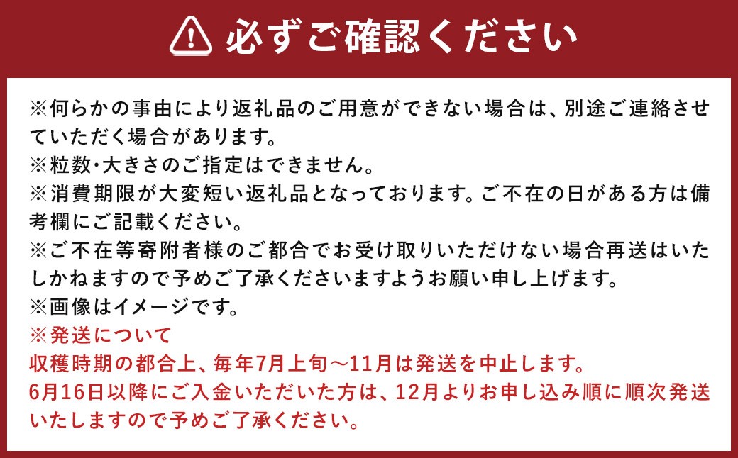 【 7月～11月発送不可 】 ミディトマト はなひめ 3kg 中玉 トマト 福岡県産