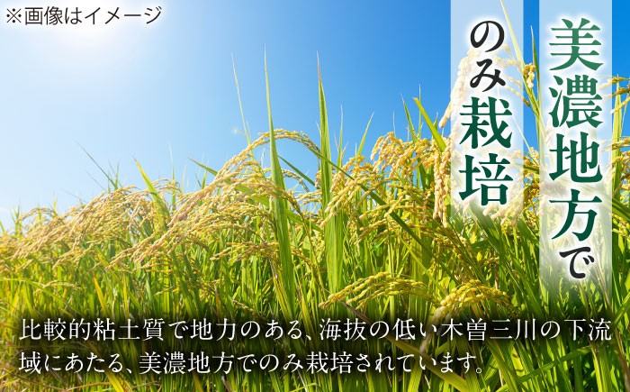 ハツシモ はしつも お米 米 こめ 白米 10kg 10キロ 定期便 米定期便