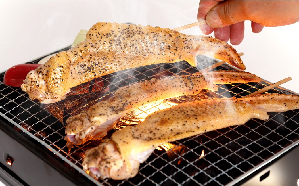 【アウトドアセット】 天草大王 幻の鶏 キャンプ BBQ 骨付きもも肉 (500g) 大手羽先 ソーセージ ブツ切りミックス